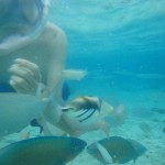 @Saipan